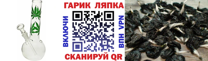 Гашиш AMNESIA HAZE  как найти наркотики  Светлый 