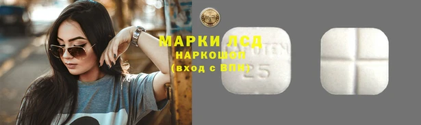 спайс Аркадак