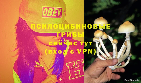 каннабис Каменногорск