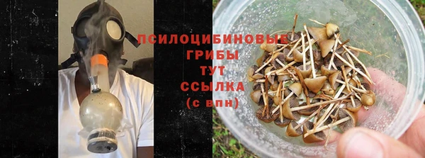 прущая мука Армянск